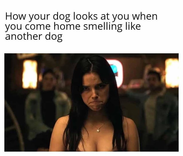 as-if-they-dont-hop-on-every-visitor-tha