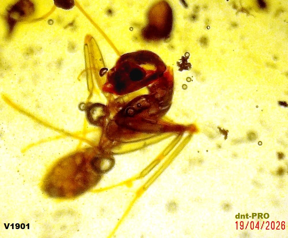 2026 0419 144420 001