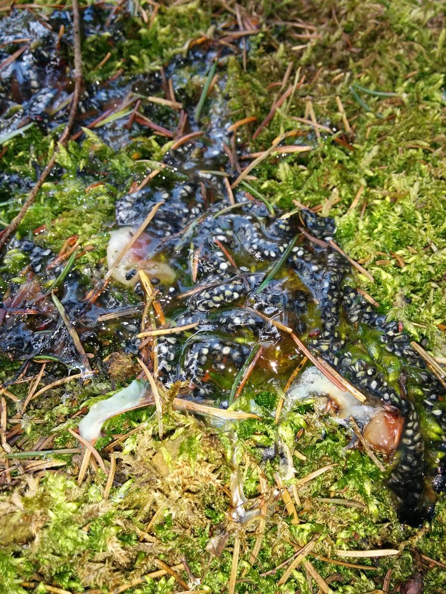 0,1428352044,IMG 20150406 124512