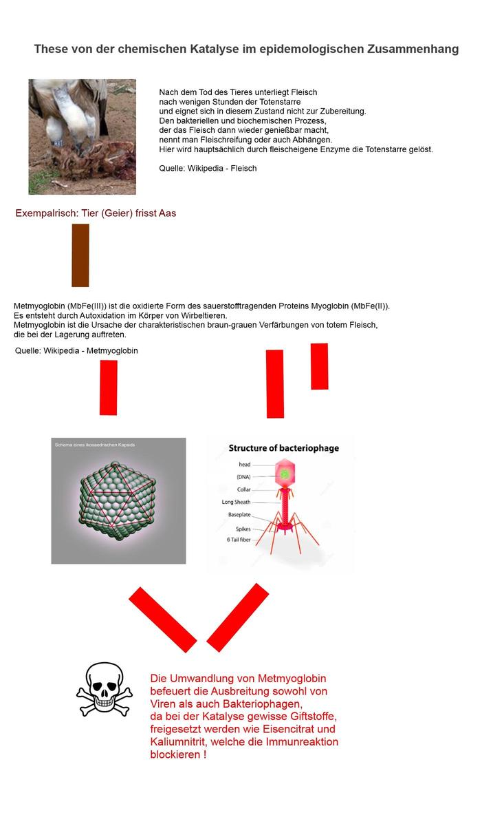 /dateien/110001,1408015447,These von der chemischen Katalyse im epidemologischen Zusammenhang