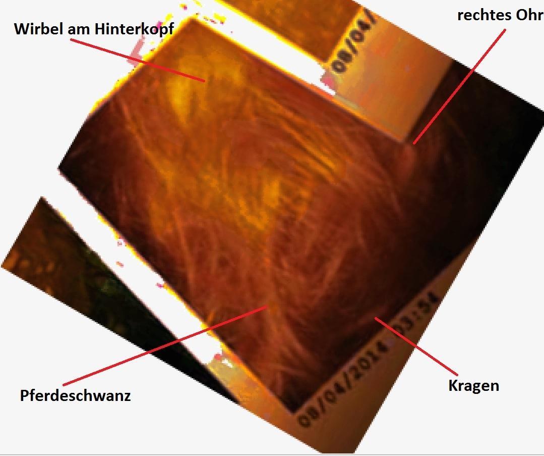/dateien/122930,1468715253,Foto von hinten