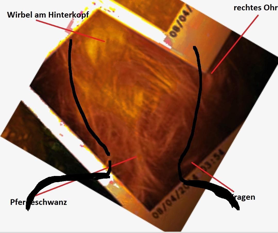 /dateien/122930,1470930441,Foto von hinten Kontur angedrutet