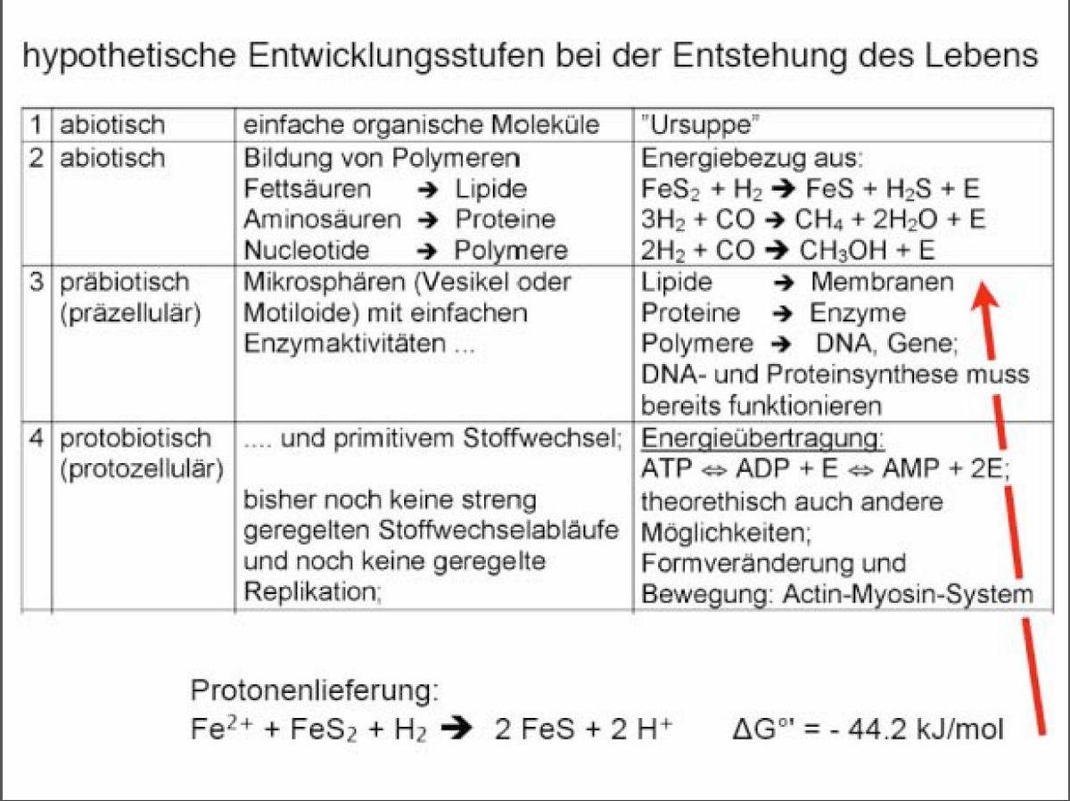 /dateien/75397,1308656645,lebenTab1