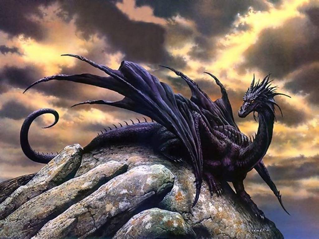 /dateien/gg43993,1209054683,Black Dragon