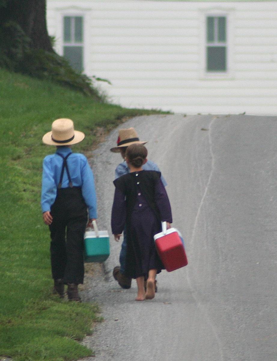/dateien/mg38383,1271248772,Amish On the way to school by Gadjoboy2