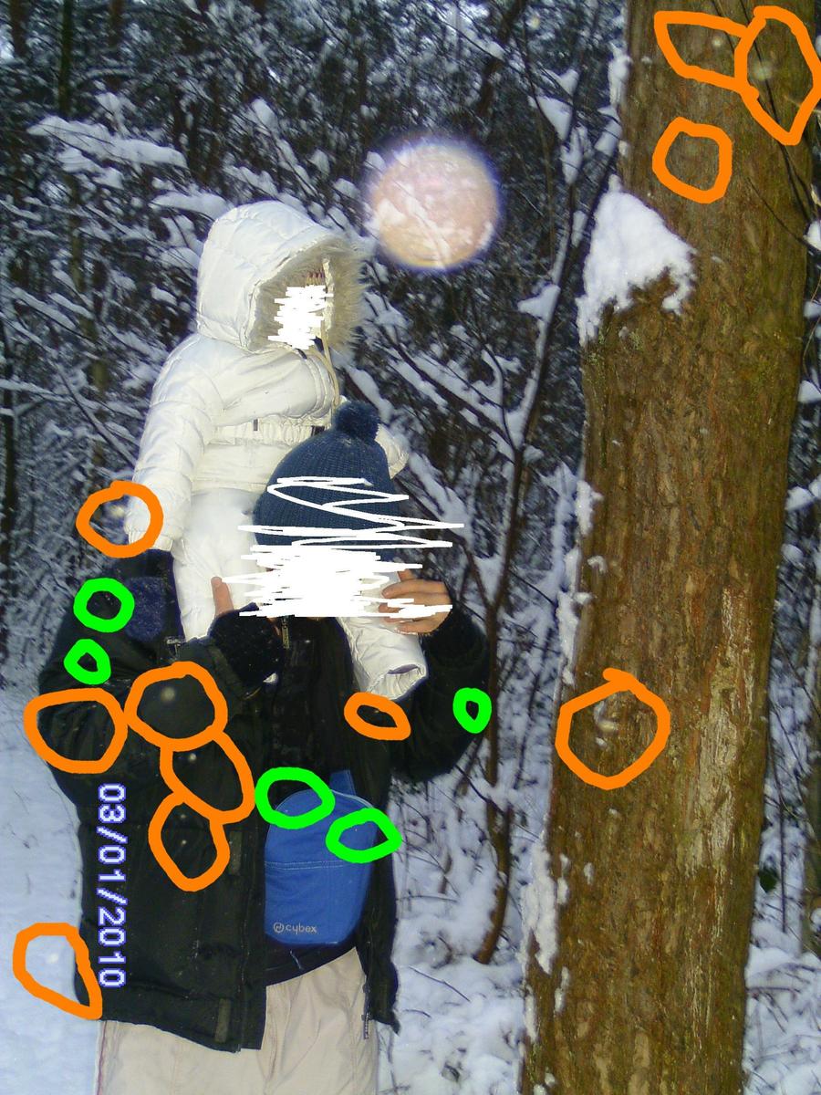 /dateien/mt13490,1263312430,b