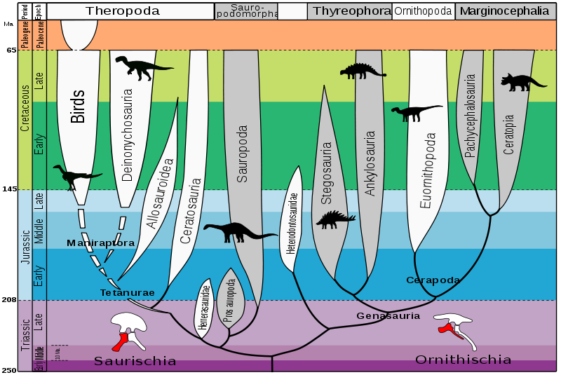 /dateien/mt2402,1274424799,800px-evolution of dinl9mi