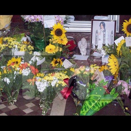 /dateien/np62551,1274513284,michael jackson tomb sunflower 04 full