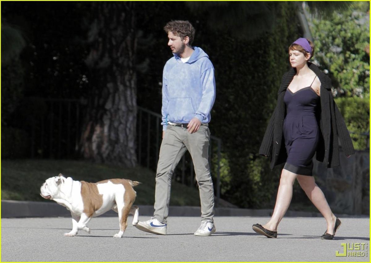 /dateien/np66944,1288727928,shia-labeouf-carey-mulligan-walk-brando-bulldog-12