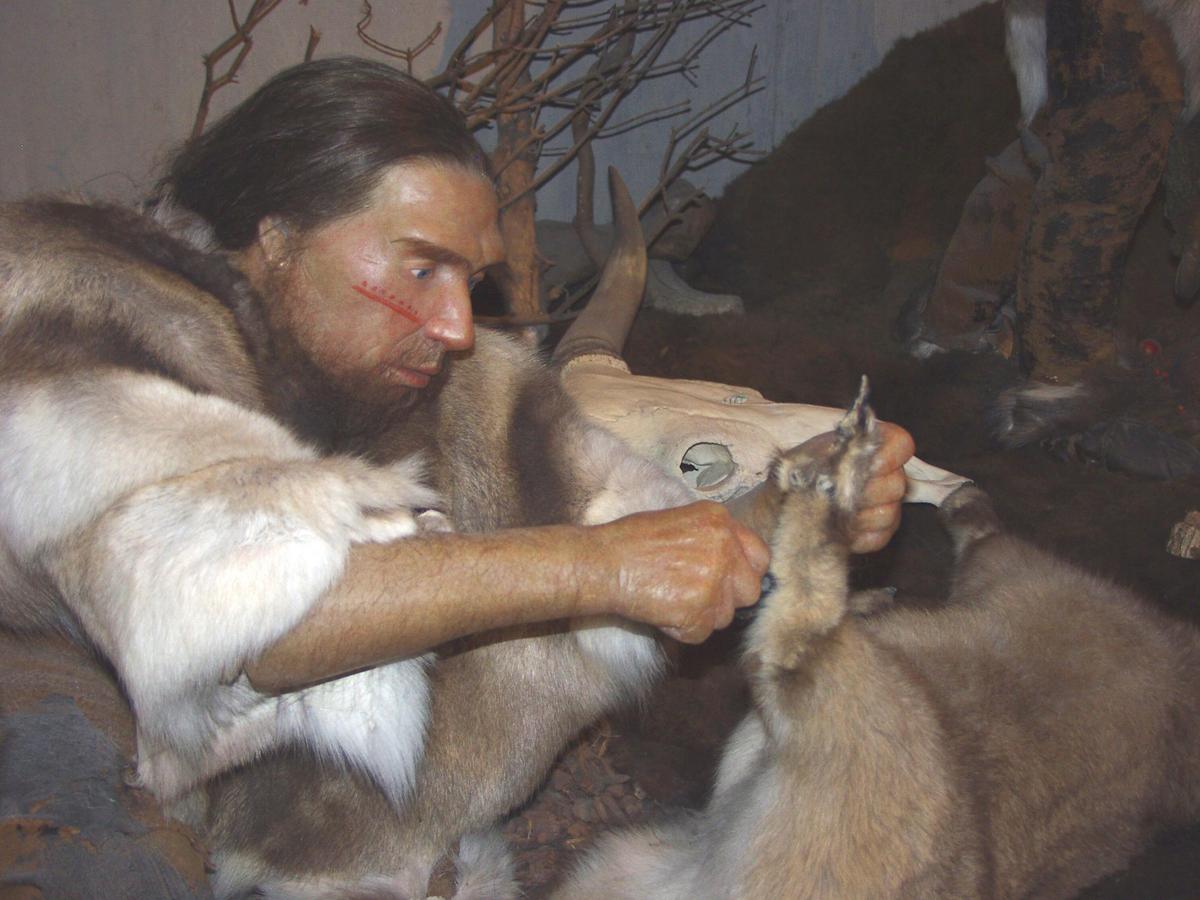 /dateien/rs3448,1274358307,Neandertaler-im-Museum