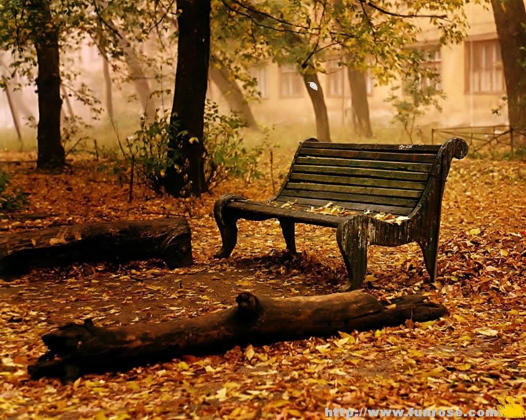 /dateien/tp66627,1286658323,autumn-wallpaper1