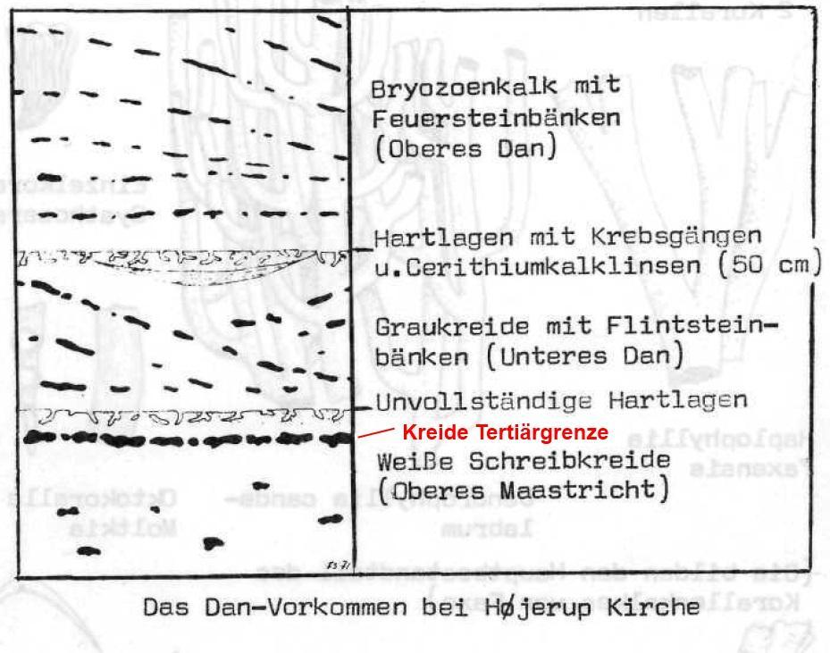 /dateien/uf39037,1280252476,41155danium0FGYF