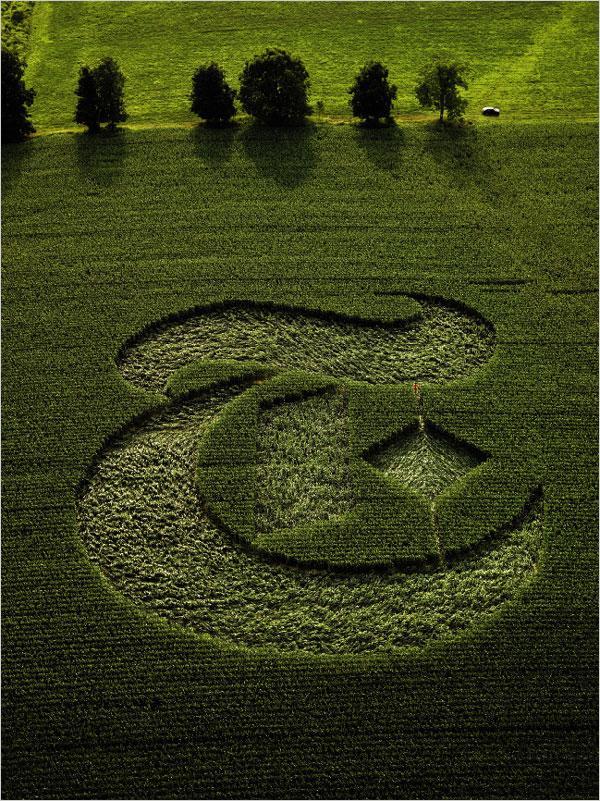 /dateien/uf5772,1211749072,10cropcircle-t