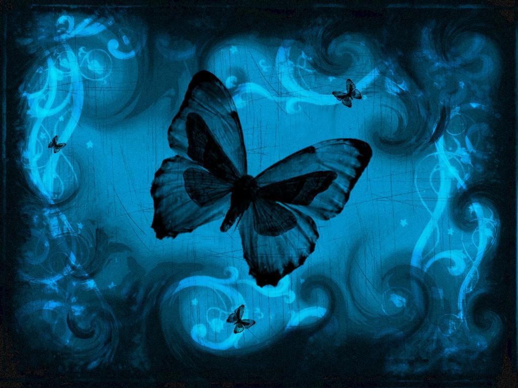 /dateien/uh28902,1156071027,butterfly