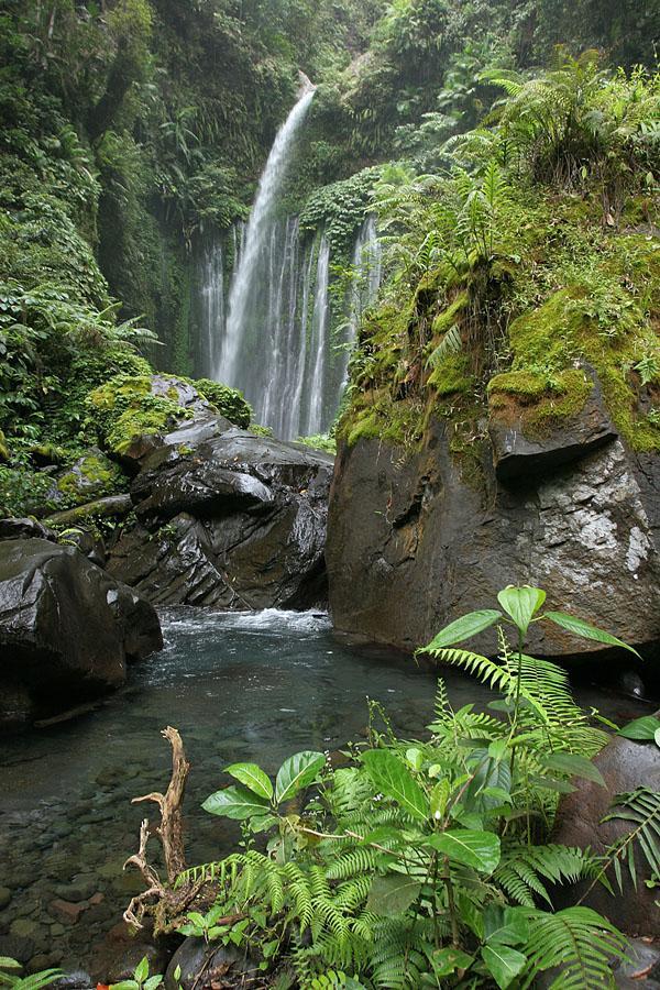 /dateien/uh28902,1170170640,urwald-lombok