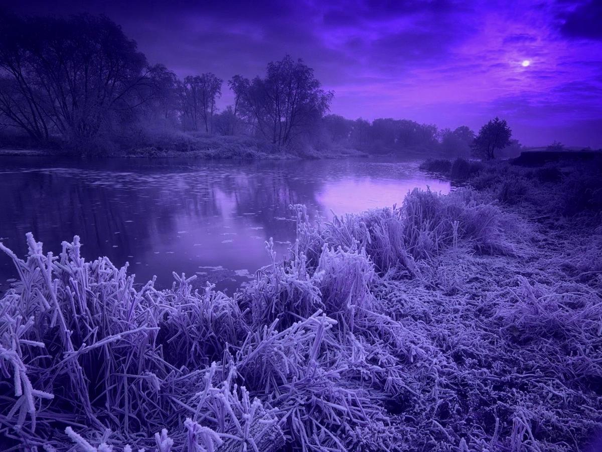 /dateien/uh28902,1174140970,blue violet winter