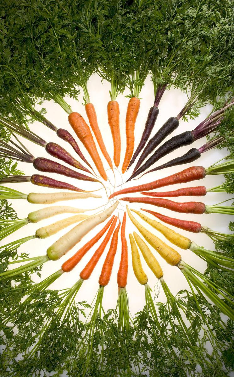 /dateien/uh58036,1258566256,Carrots of many colors