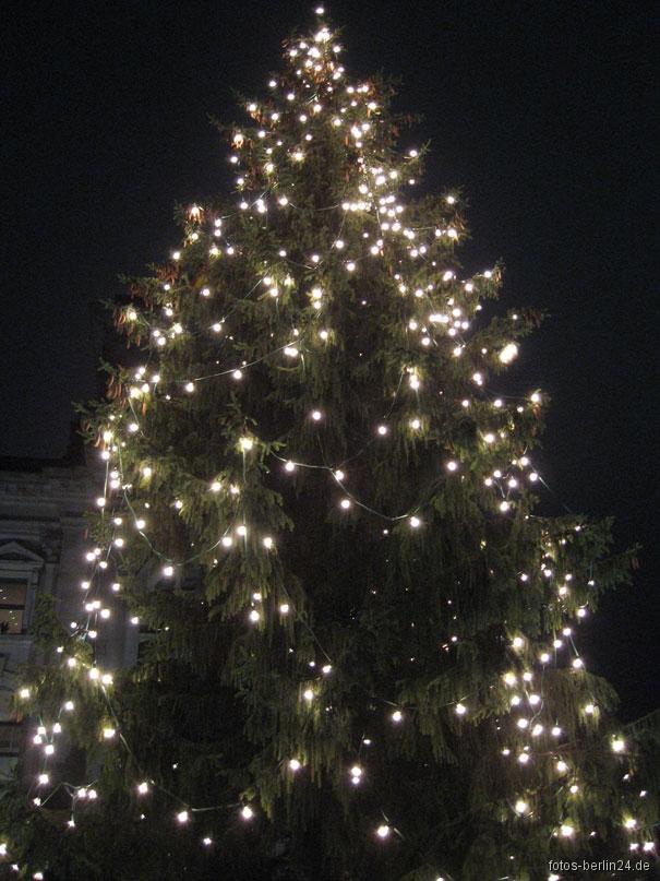 /dateien/uh58840,1261137998,berlin-weihnachtsbaum