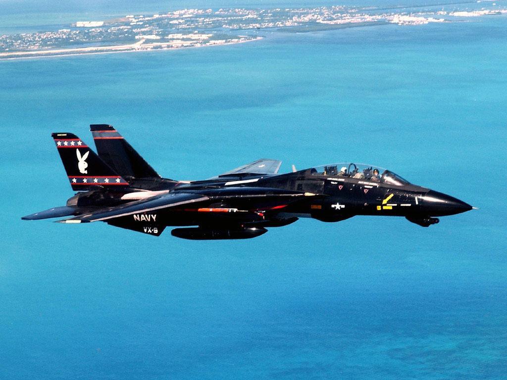 /dateien/uh60626,1266626307,F-14 - Tomcat