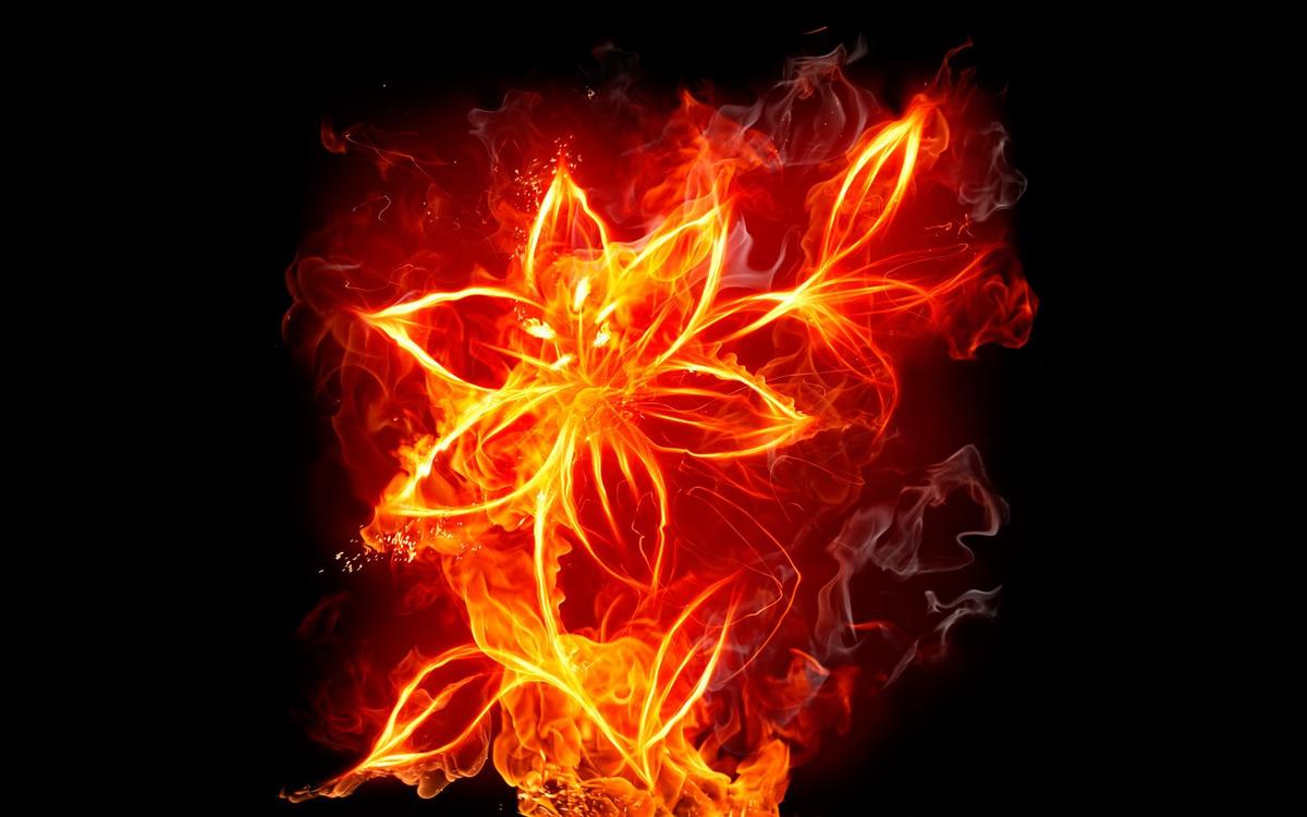 /dateien/uh65525,1283777493,uh430481282507888Flower Fire Wallpaper