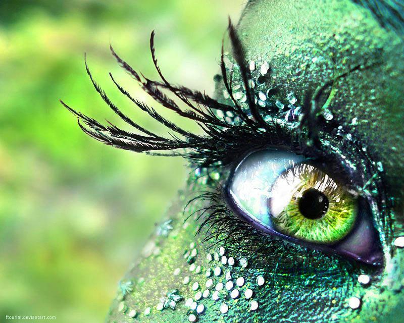 /dateien/vo58232,1259174123,Green-eyes-people-with-green-eyes-5833332-800-640