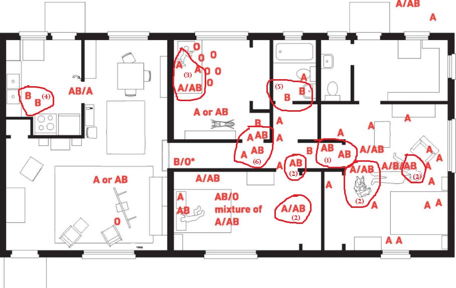 Blood-Types-marked-2