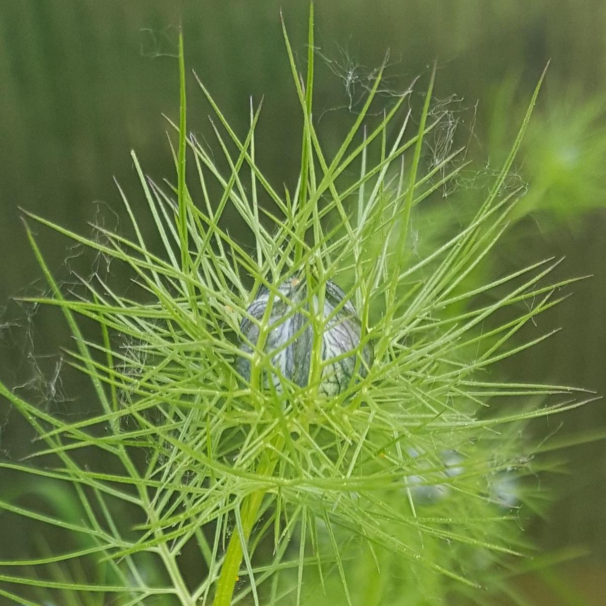 x01