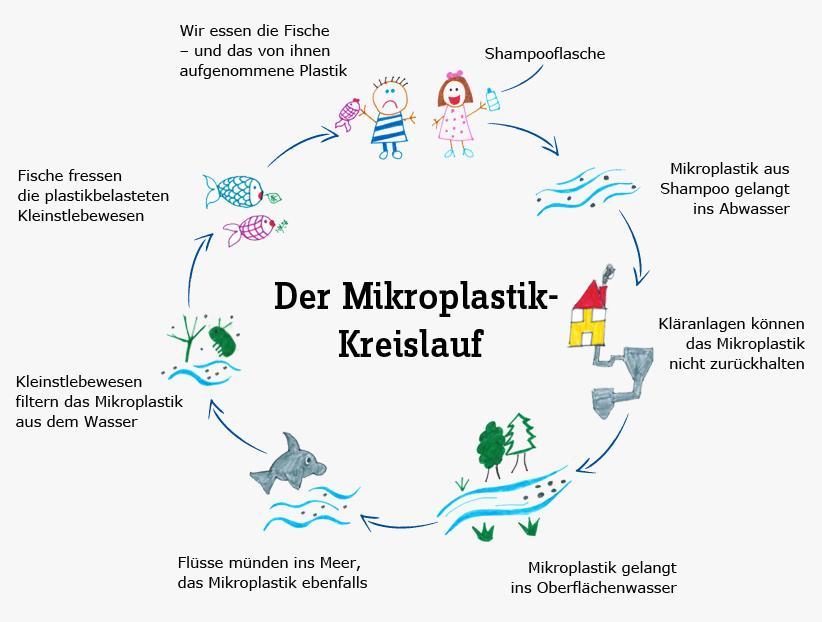 Kreislauf Mikroplastik
