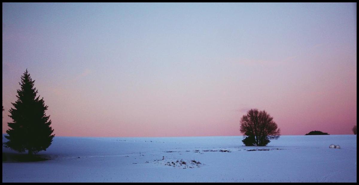 dawn7223