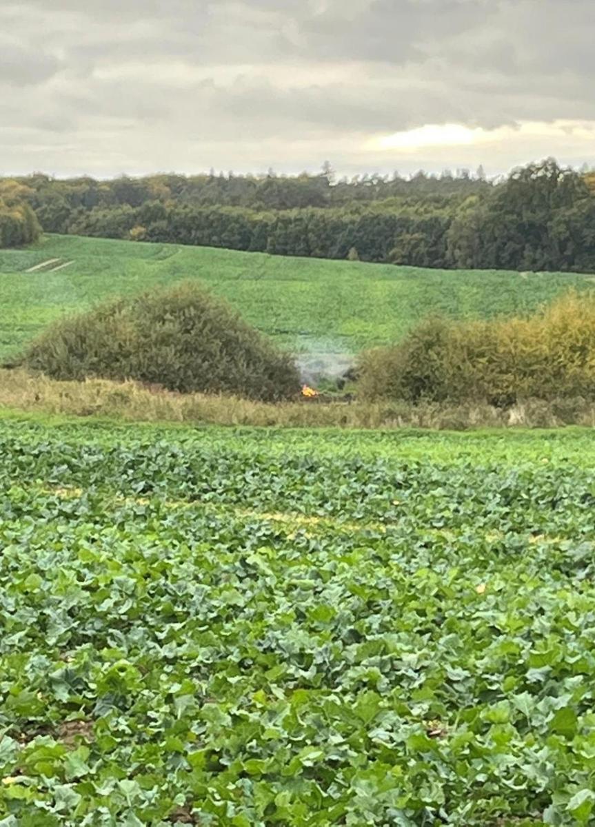 Screenshot 20251108-202406 Samsung Inter