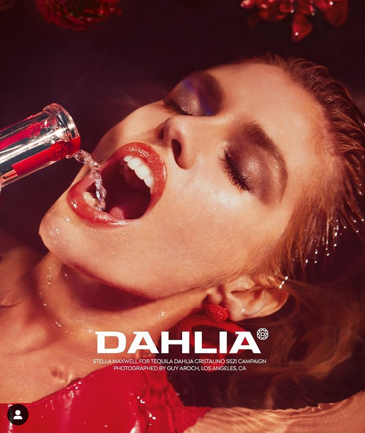 Dahlia Tequila Stella Maxwell - Copy