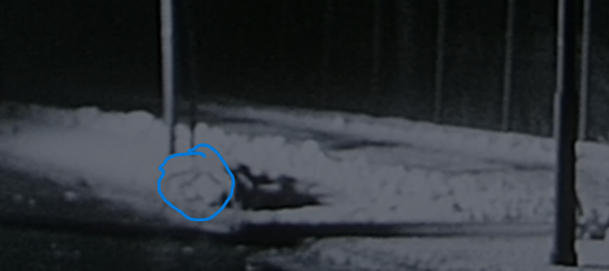 wby48b8tepjq Originalbild Leiche2