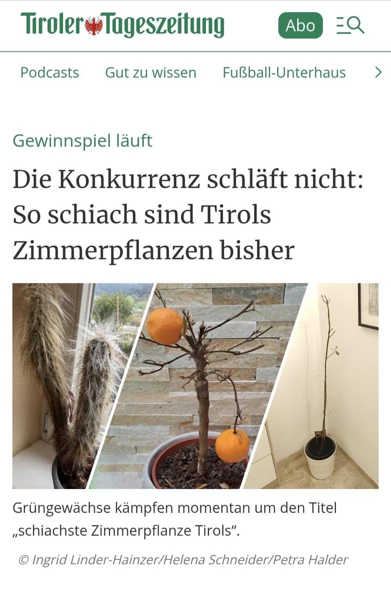 Screenshot 20251019 084553 Chrome