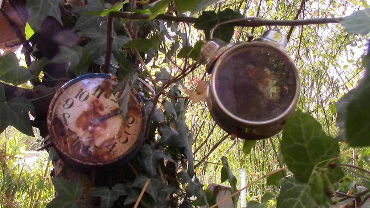 IMG 0649 loose time passionated