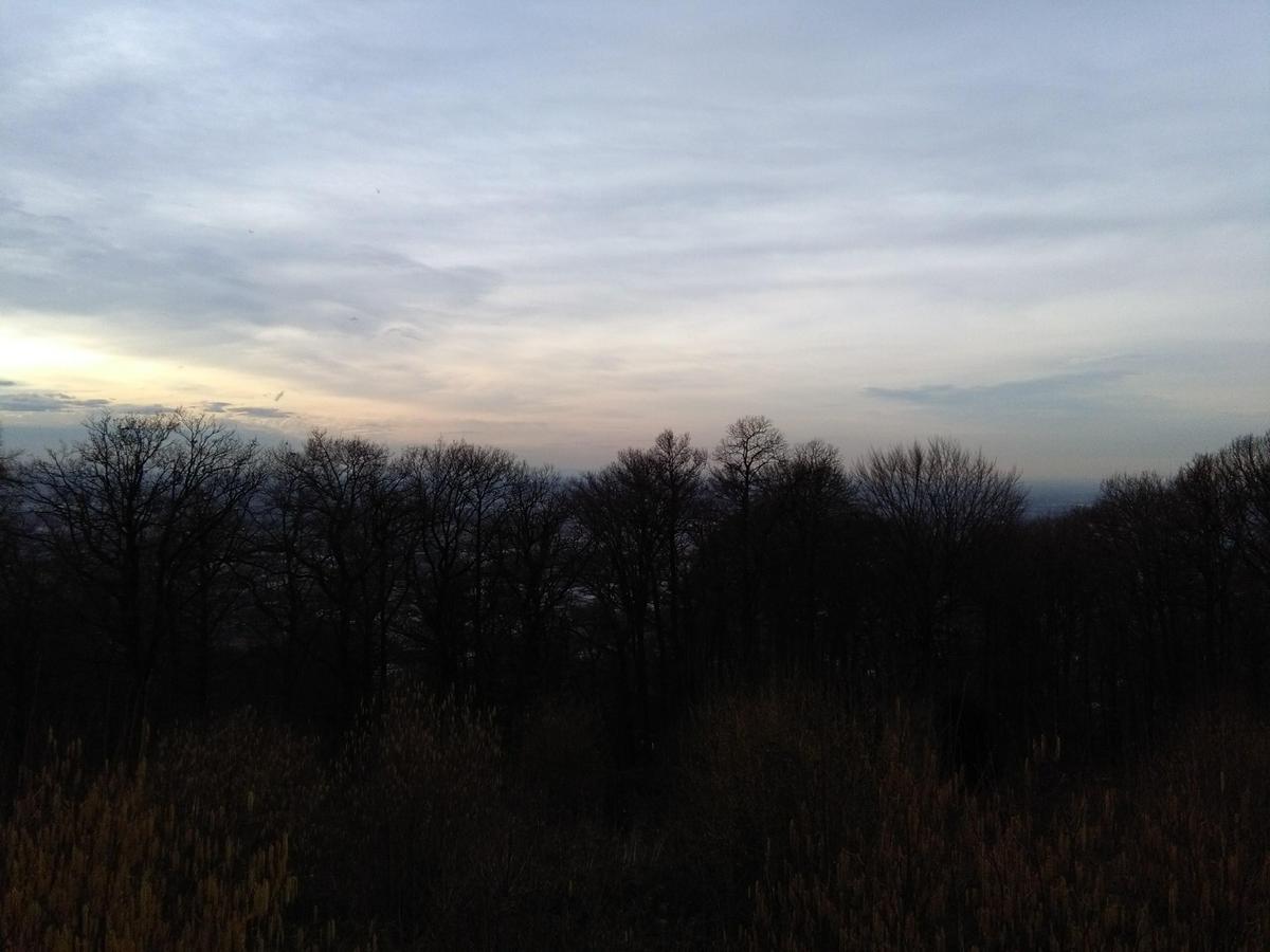 IMG 20170304 162644