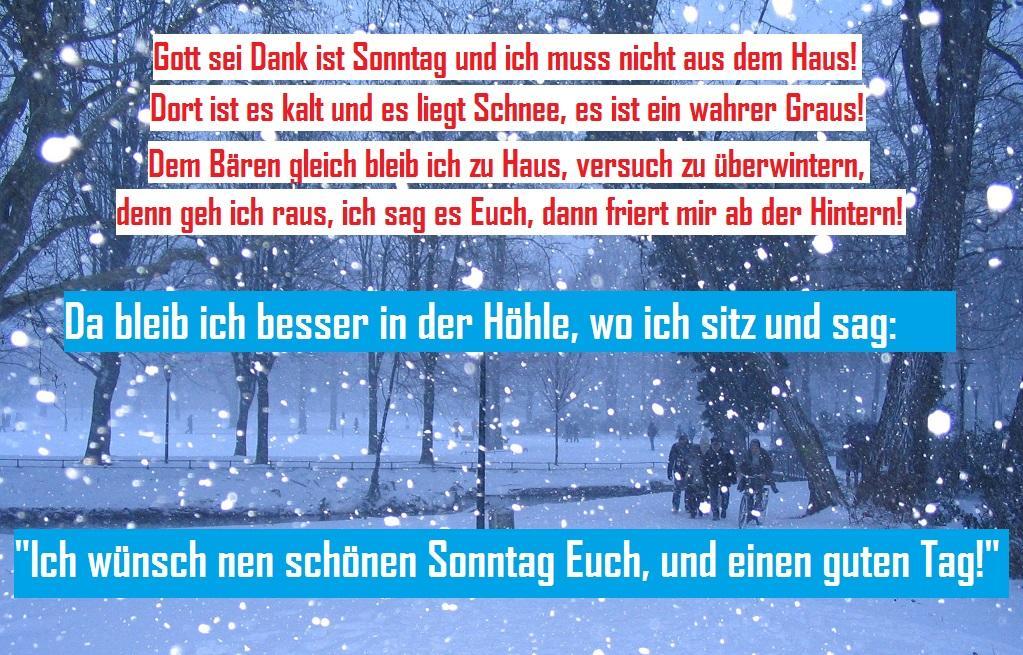 Schnee Schneefall Duesseldorf Hofgarten