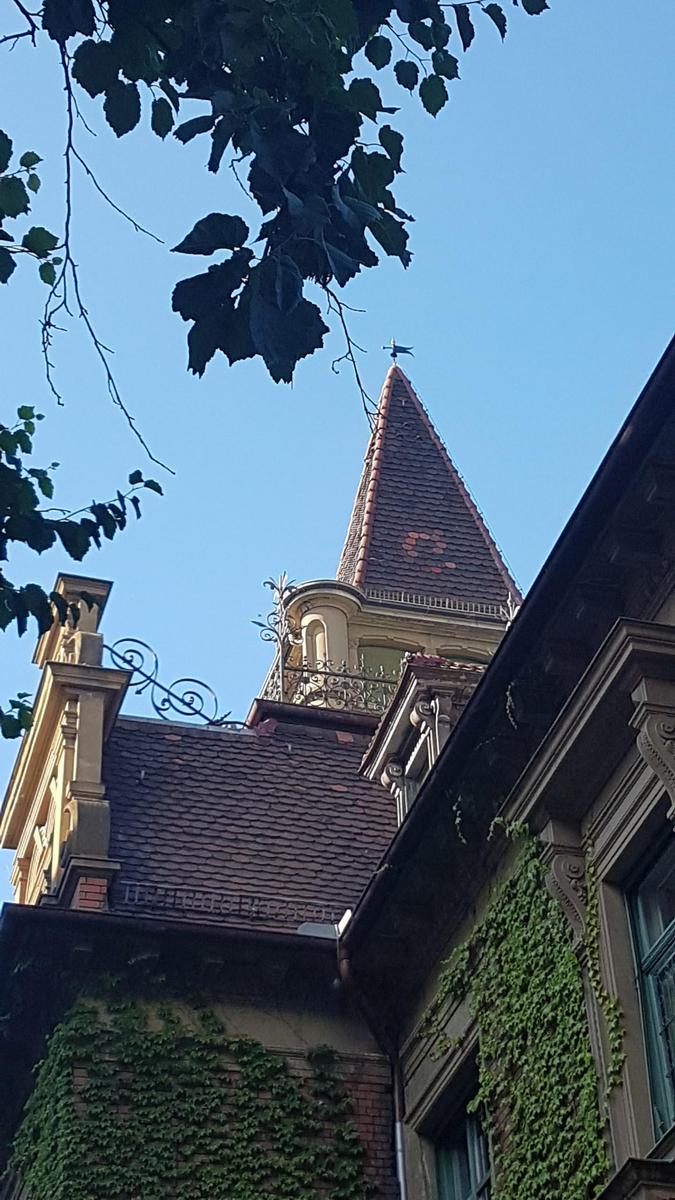 haus1311