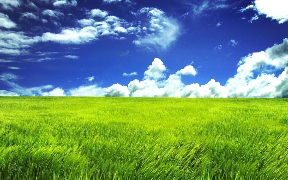  downloadfiles wallpapers 1440 900 green