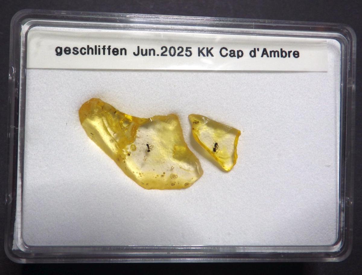 IMGP0369