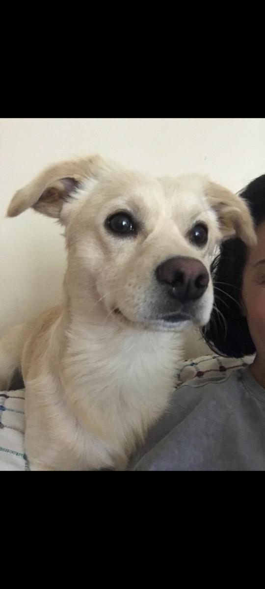 Screenshot 2026-04-22-13-07-12-255 com.m