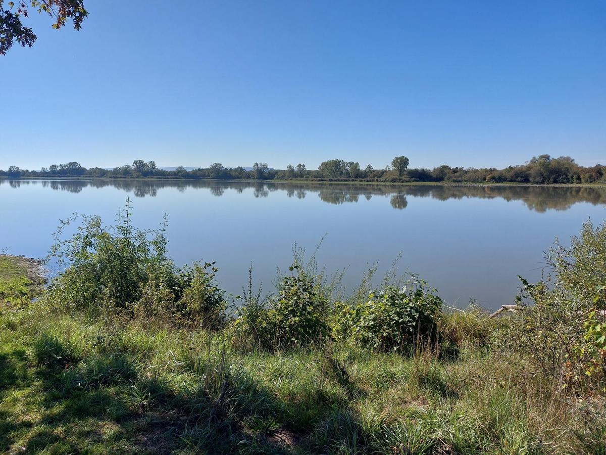 Vogelinsel 3