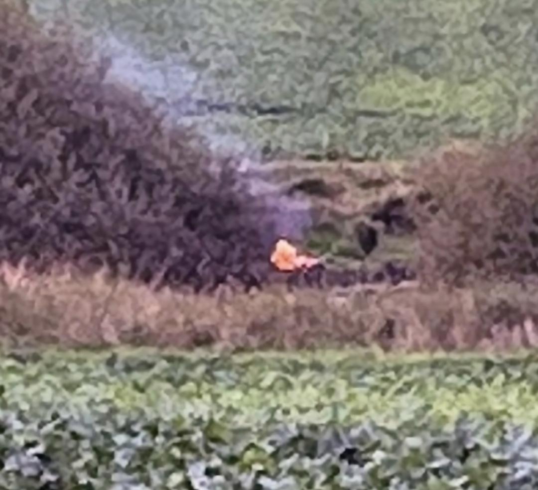 Screenshot 20251105 214607 Gallery