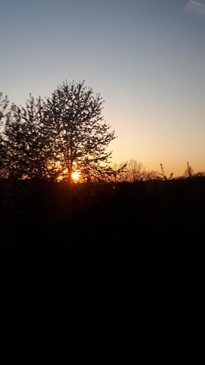 20190420 200413