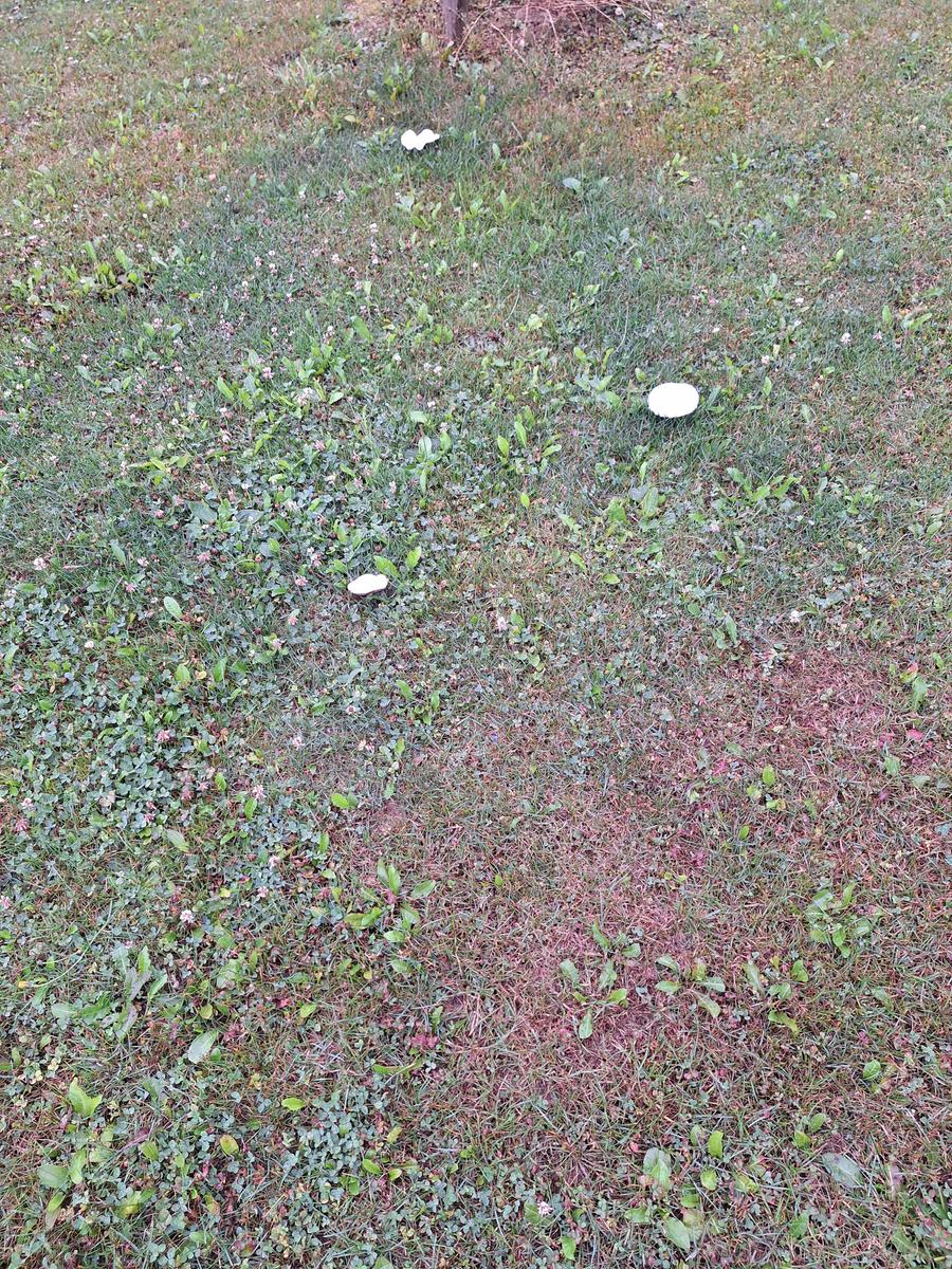 20250728 072358