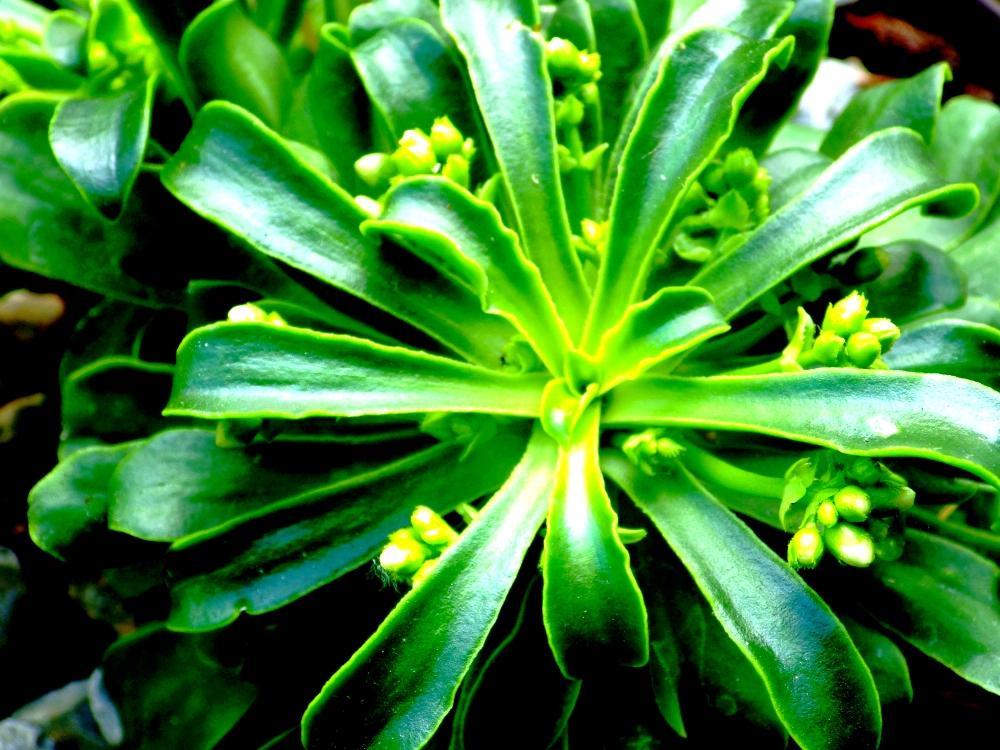 IMGP0904
