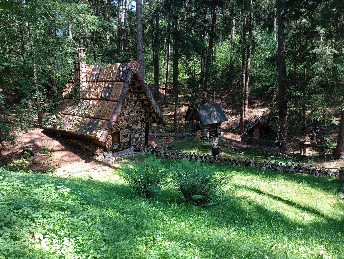 IMG 20250612 111420