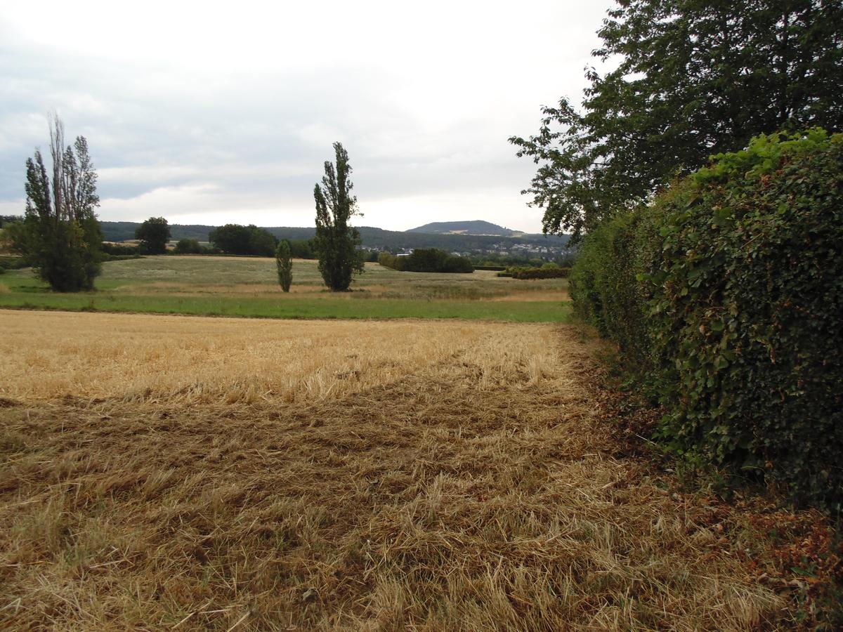 DSC00965