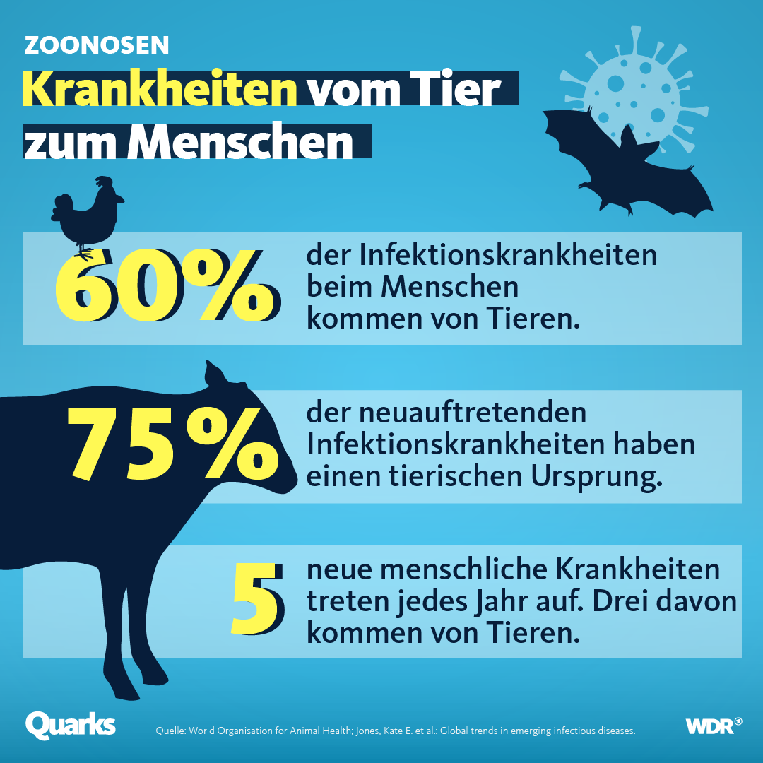 Tafel-Zoonosen-Krankheiten-vom-Tier-zum-