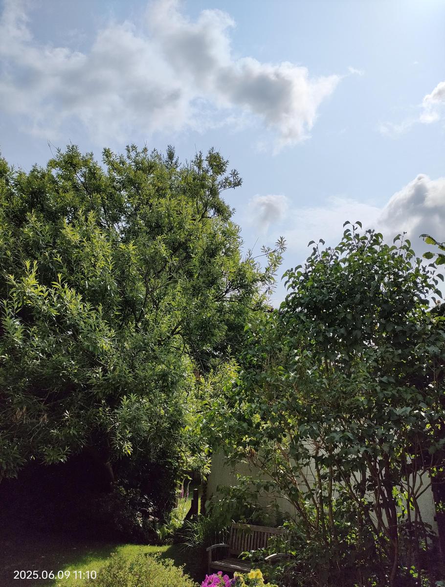IMG 20250609 111042