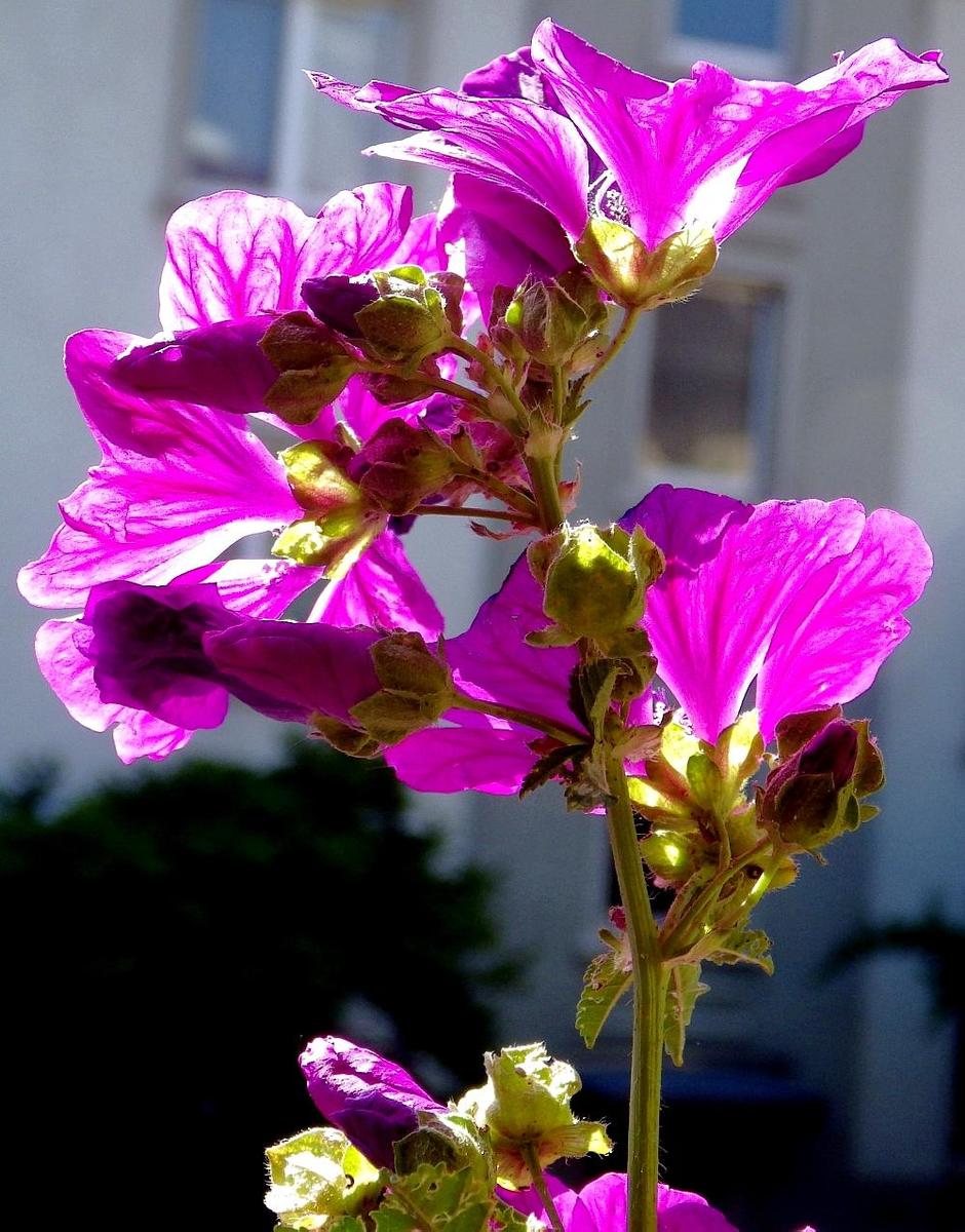 IMGP0305